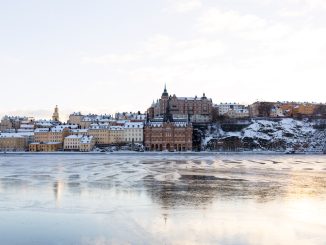 De bästa plattformarna för nybörjarinvesteringar i Sverige illustration